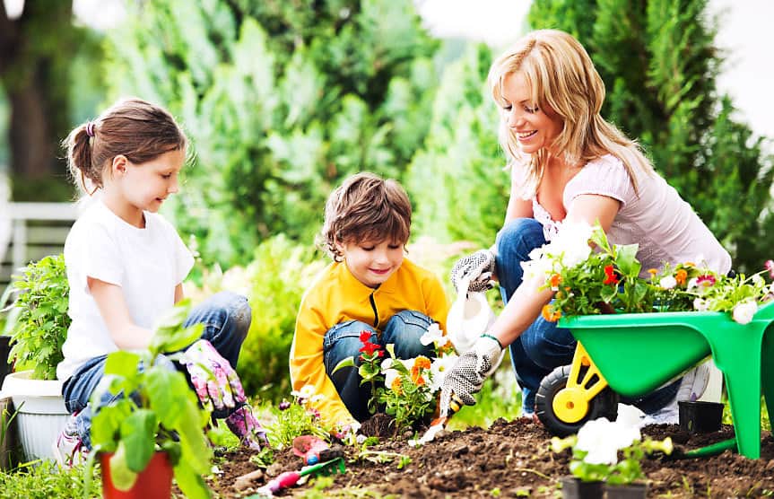 natural mosquito repellent gardening